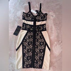 Bebe Flocked Lace Dress